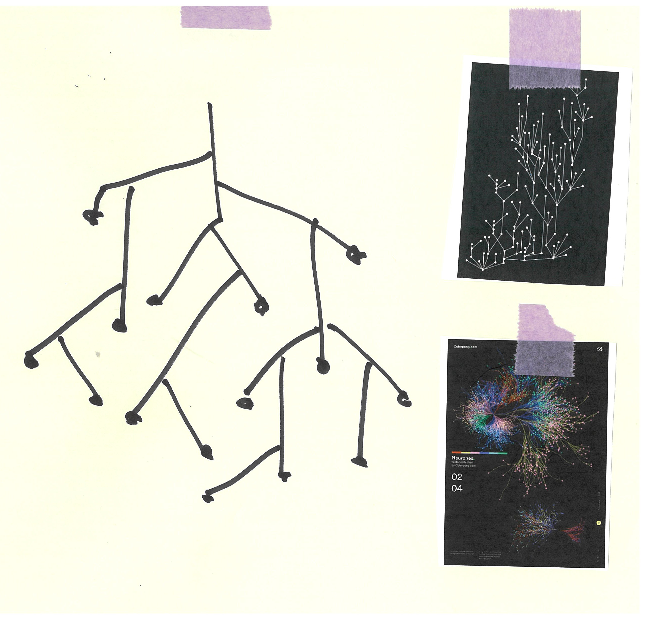 nodes