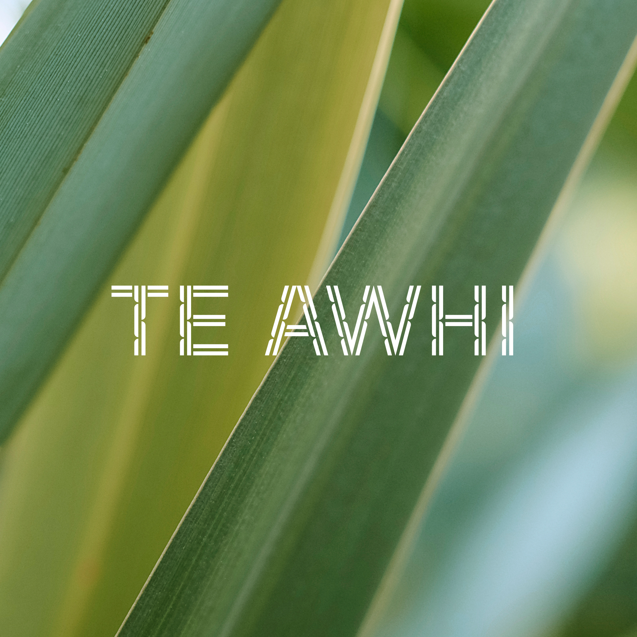 Te Awhi